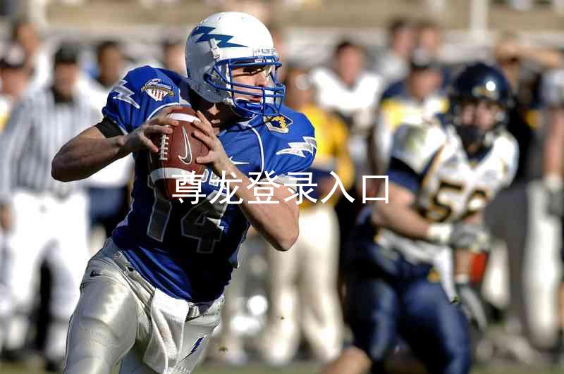 尊龙登录入口