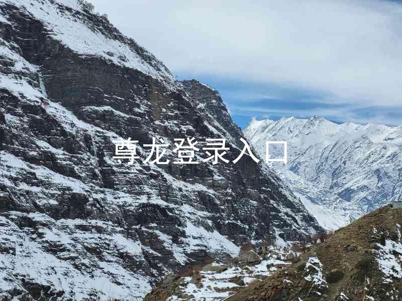 尊龙登录入口