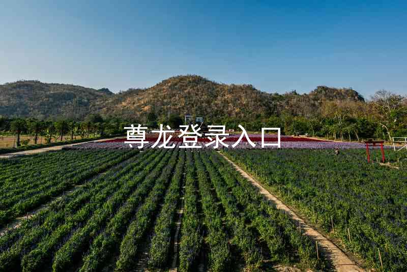 尊龙登录入口