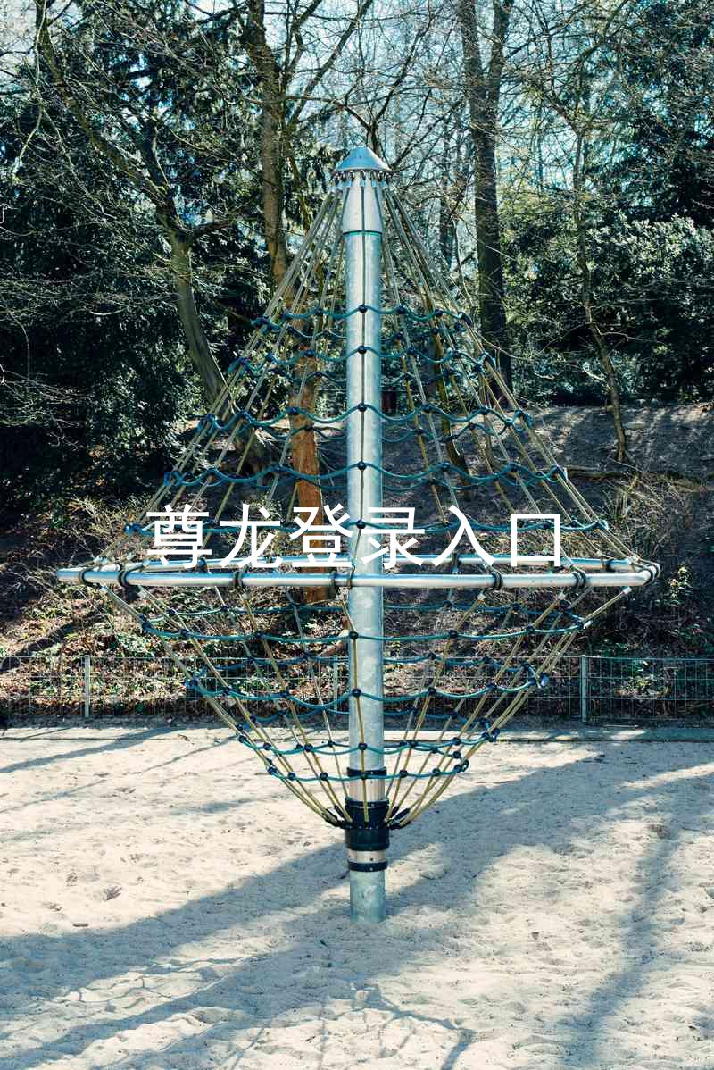 尊龙登录入口